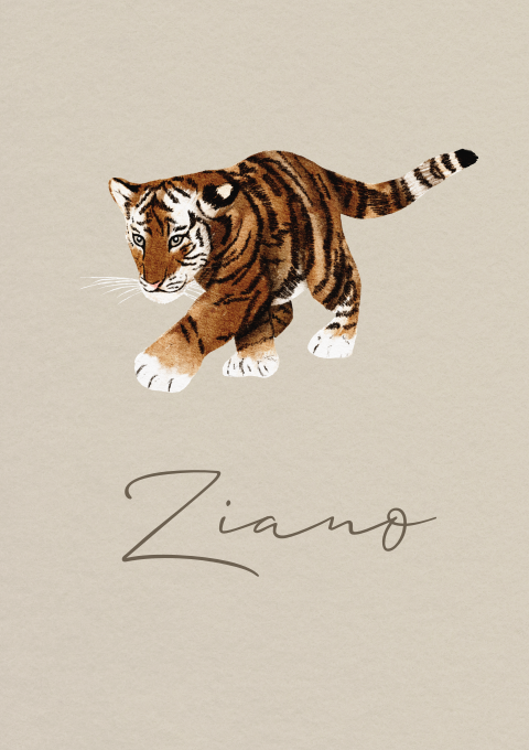 Geboortekaartje Jongen tijger Waterverf