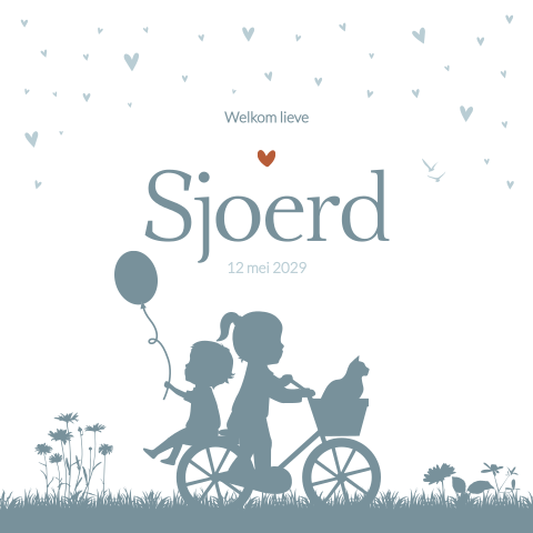 Geboortekaartje Broertje Fiets Ballon Poes