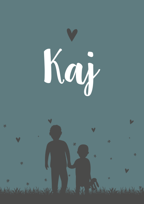 Geboortekaartje Jongen Broertjes Silhouet Lief