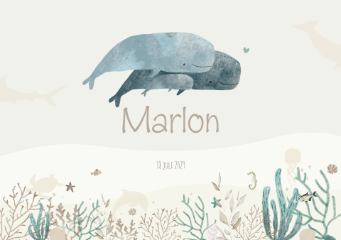 Geboortekaartje Zee Koraal Vissen Schelpen