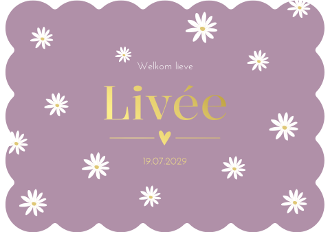 Geboortekaartje Meisje Koekvorm Madeliefjes Lila