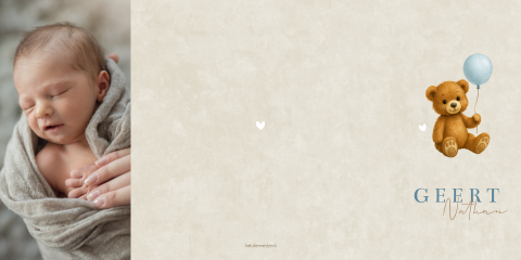 Geboortekaartje Jongen Ballon Teddybeertjes Luikkaartje