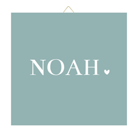 Geboortetegel Naamtegeltje Kraamcadeau